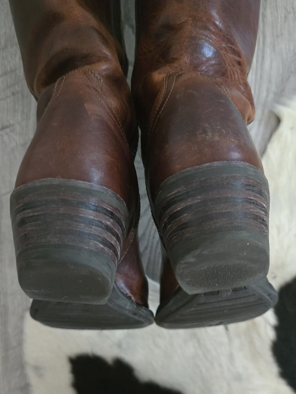 Ariat Knee High Boots